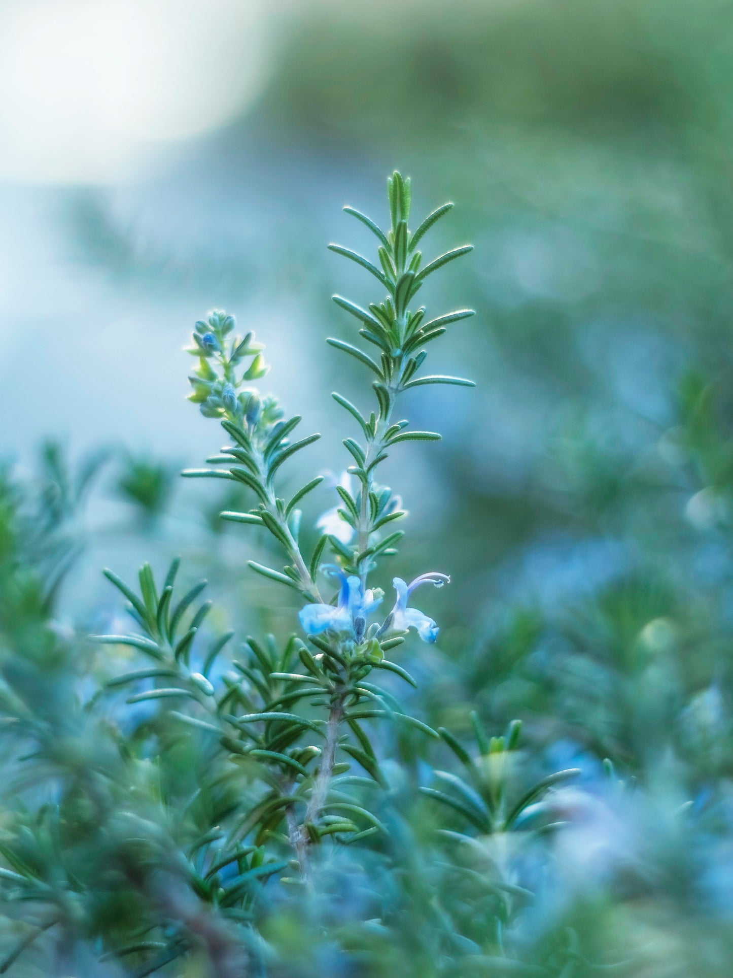 Keratin Volume Boost Conditioner, 390ml